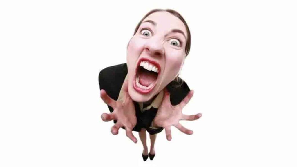 Teljesen el vagytok tévedve - Novella Blog